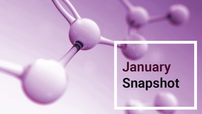 Snapshot: January Highlights