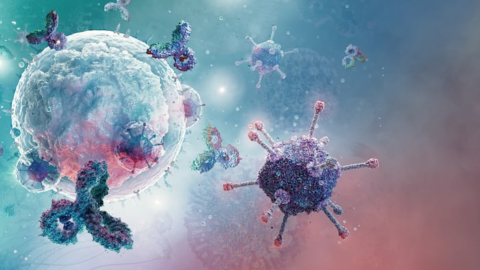 Immune Cells