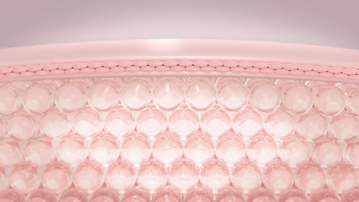 skin layers