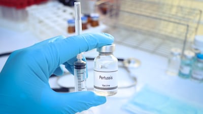 Novel Pertussis Vaccines: Challenge Models ‘Promising’ But Need More Work