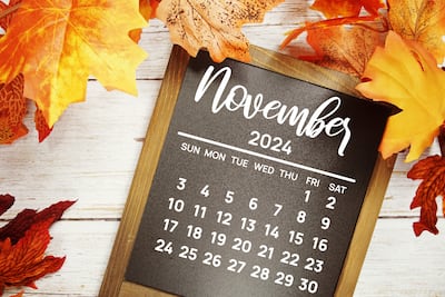 US FDA’s November Goal Dates Cannot Elevate 2024’s Novel Approvals To 2023 Levels